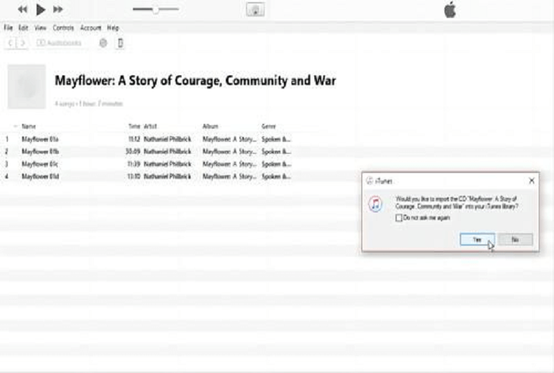 Разрешить импорт компакт-диска с аудиокнигой iTunes