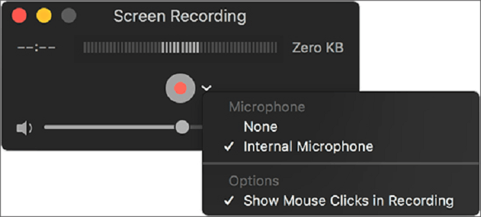 Choose Internal Microphone on QuickTime