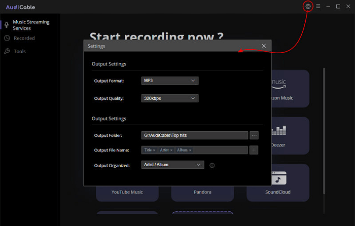 Выберите выходные параметры Audicable Audio Recorder