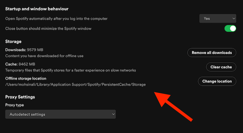 Ubicación de almacenamiento sin conexión de Spotify