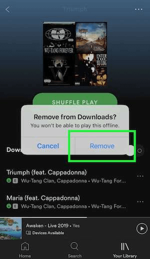Удалить загрузки Spotify