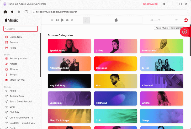 Search Apple Music Web Player