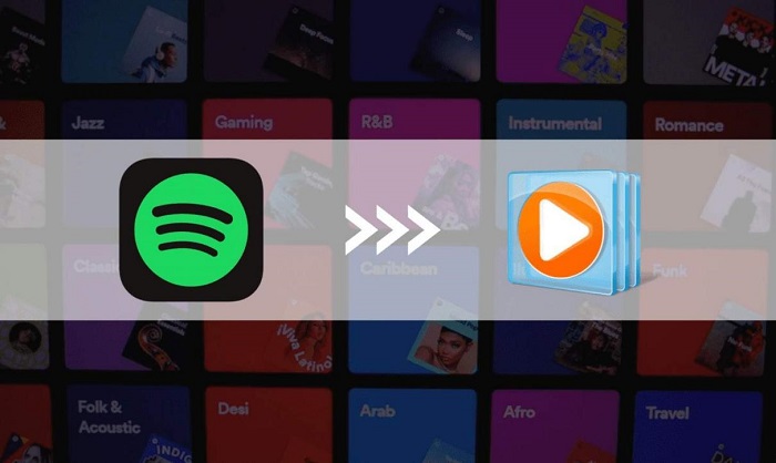 Импортируйте Spotify в проигрыватель Windows Media.