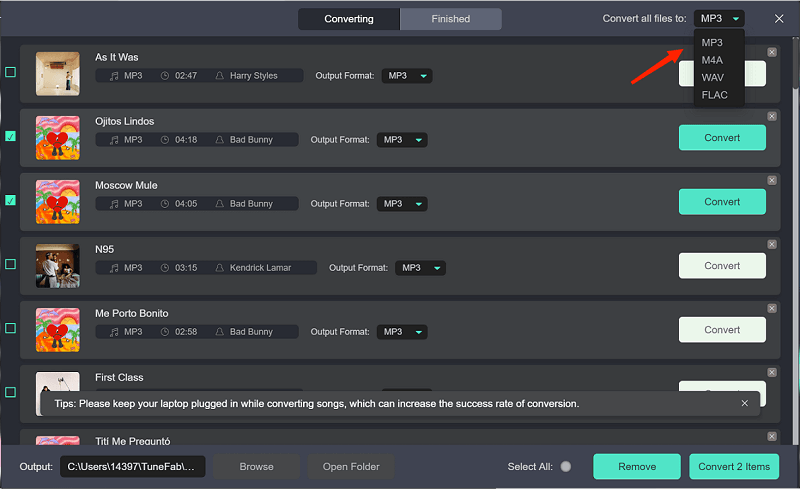 Select Output Format on TuneFab Spotify Music Converter