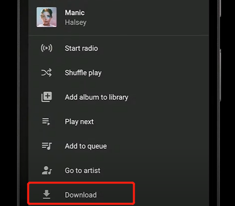 Tap Download YouTube Music Manual Downloads