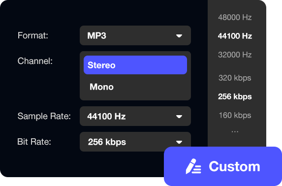 Viwizard Spotify Music Converter Output Quality