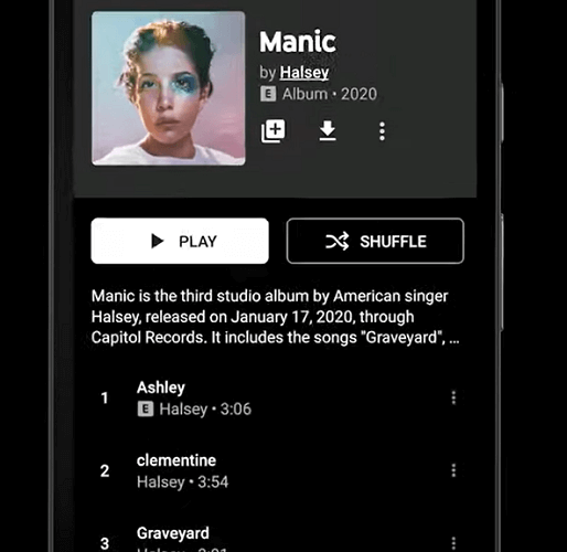 YouTube Music-app Download nummers